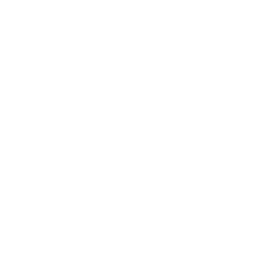 Steve Hawkins Homes Badge logo - a circle with 1979 and an icon of Texas